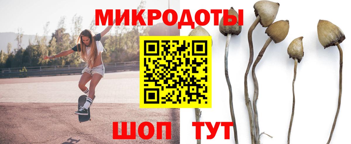 Гай  Галлюциногенные грибы мухоморы  Вход с VPN 